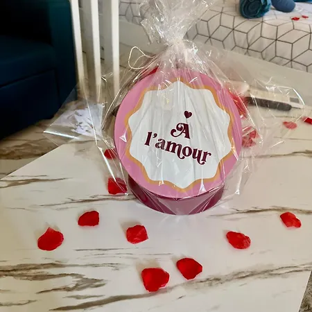 - Jacuzzi, Wifi, Clim, Rétroprojecteur